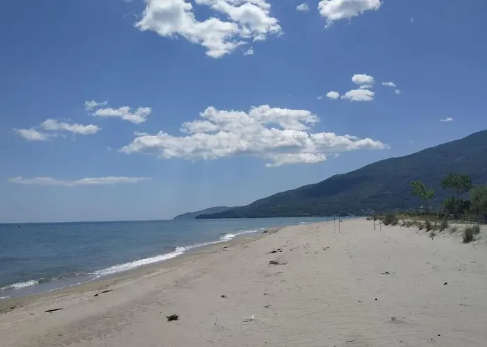 Ocean With Panoramic View 펜션